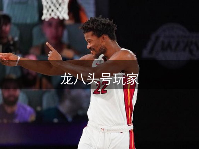 龙八头号玩家介绍